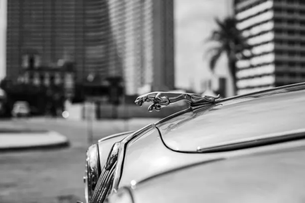 Casino Prize Land Bingo Application Android/iOS